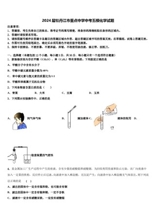 2024届牡丹江市重点中学中考五模化学试题含解析.doc