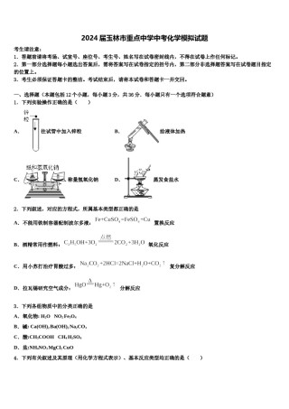 2024届玉林市重点中学中考化学模拟试题含解析.doc