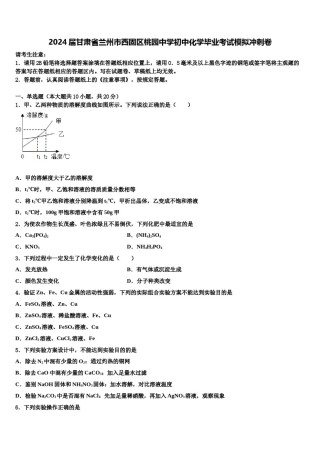 2024届甘肃省兰州市西固区桃园中学初中化学毕业考试模拟冲刺卷含解析.doc