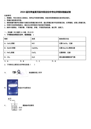 2024届甘肃省夏河县市级名校中考化学模拟精编试卷含解析.doc