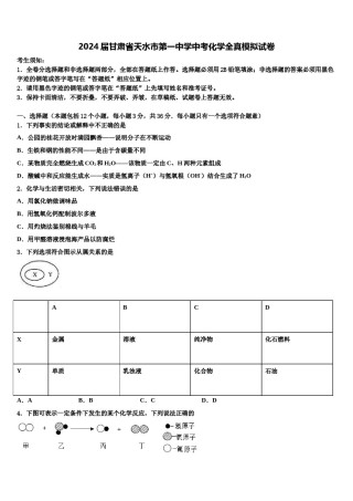 2024届甘肃省天水市第一中学中考化学全真模拟试卷含解析.doc