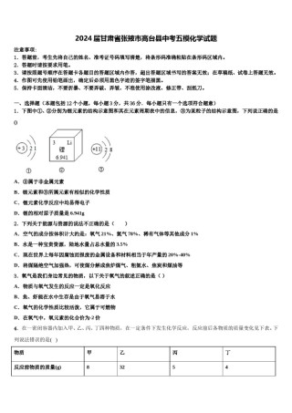 2024届甘肃省张掖市高台县中考五模化学试题含解析.doc