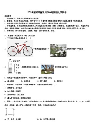 2024届甘肃省泾川市中考猜题化学试卷含解析.doc