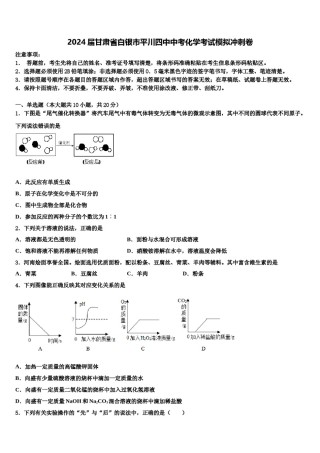 2024届甘肃省白银市平川四中中考化学考试模拟冲刺卷含解析.doc