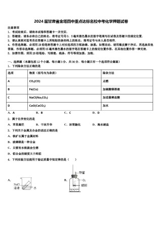 2024届甘肃省金塔四中重点达标名校中考化学押题试卷含解析.doc