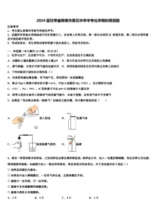 2024届甘肃省陇南市第五中学中考化学模拟预测题含解析.doc