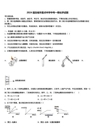 2024届白城市重点中学中考一模化学试题含解析.doc
