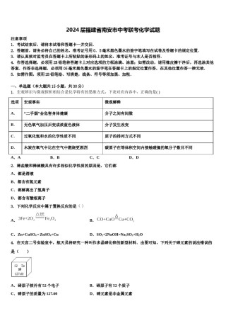 2024届福建省南安市中考联考化学试题含解析.doc