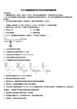 2024届福建省泉州市中考化学模拟精编试卷含解析.doc