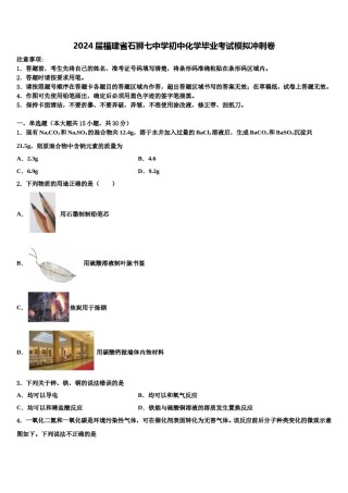 2024届福建省石狮七中学初中化学毕业考试模拟冲刺卷含解析.doc