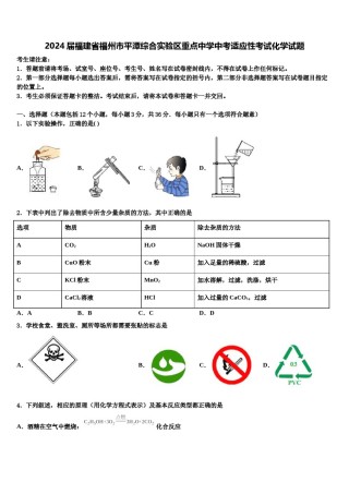 2024届福建省福州市平潭综合实验区重点中学中考适应性考试化学试题含解析.doc