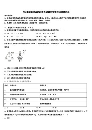 2024届福建省龙岩市连城县中考押题化学预测卷含解析.doc