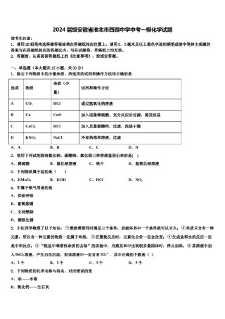 2024届级安徽省淮北市西园中学中考一模化学试题含解析.doc