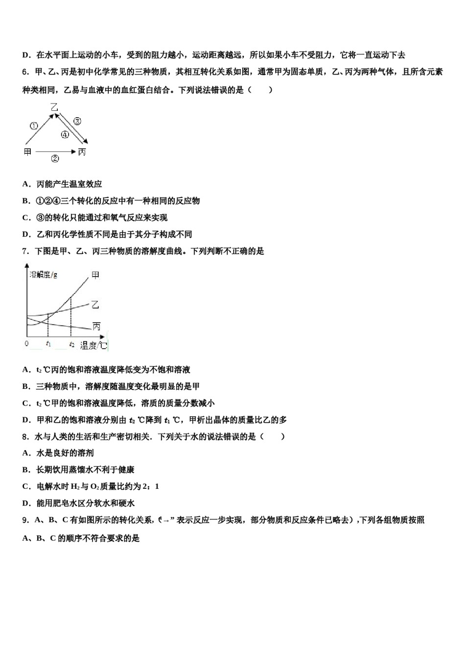2024届芜湖无为县联考中考化学对点突破模拟试卷含解析.doc_第2页