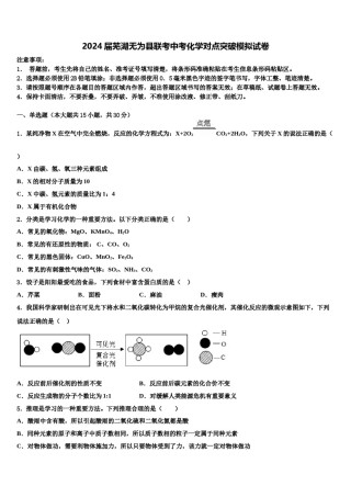 2024届芜湖无为县联考中考化学对点突破模拟试卷含解析.doc