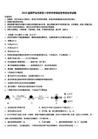 2024届葫芦岛市老官卜中学中考适应性考试化学试题含解析.doc