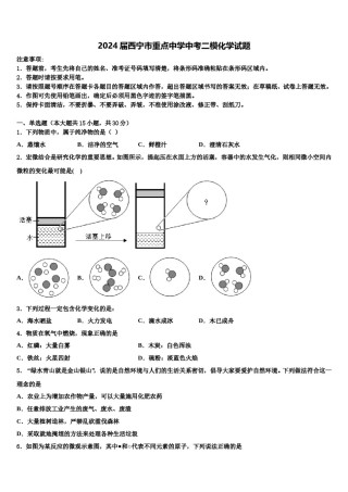 2024届西宁市重点中学中考二模化学试题含解析.doc