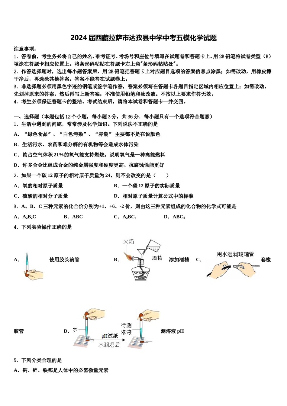 2024届西藏拉萨市达孜县中学中考五模化学试题含解析.doc_第1页