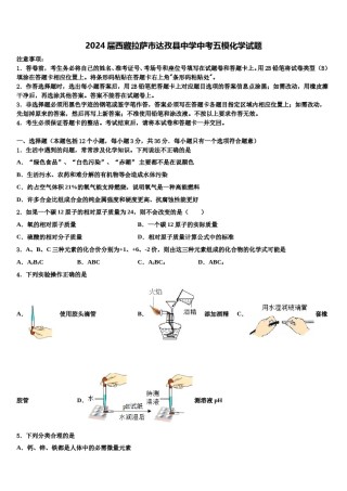2024届西藏拉萨市达孜县中学中考五模化学试题含解析.doc