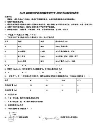 2024届西藏拉萨市达孜县中学中考化学对点突破模拟试卷含解析.doc