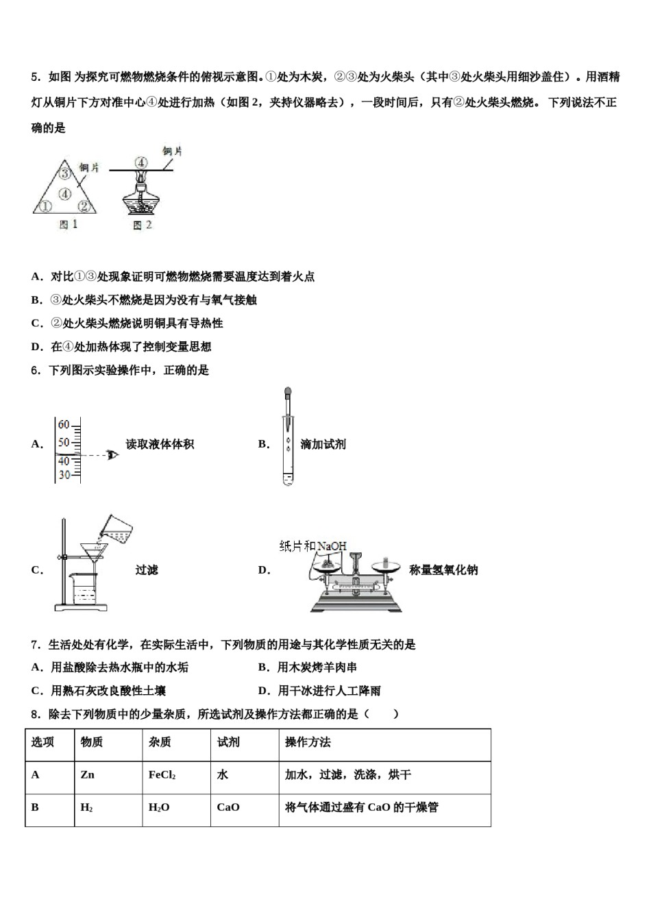 2024届西藏昌都地区八宿县中考化学猜题卷含解析.doc_第2页