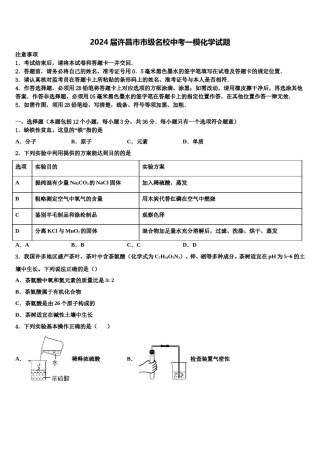 2024届许昌市市级名校中考一模化学试题含解析.doc