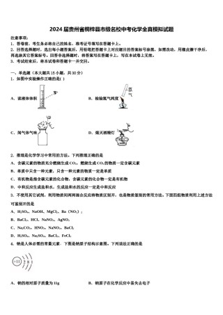 2024届贵州省桐梓县市级名校中考化学全真模拟试题含解析.doc