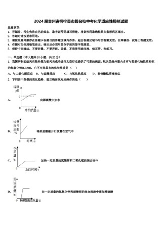 2024届贵州省桐梓县市级名校中考化学适应性模拟试题含解析.doc