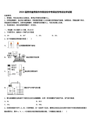 2024届贵州省贵阳市市级名校中考适应性考试化学试题含解析.doc