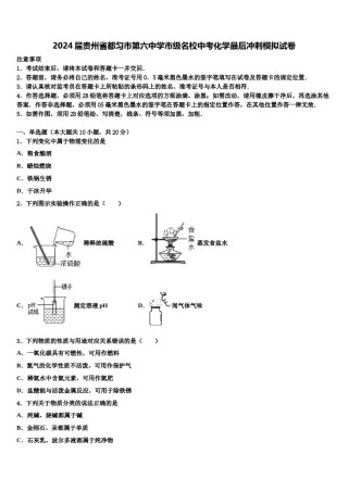 2024届贵州省都匀市第六中学市级名校中考化学最后冲刺模拟试卷含解析.doc