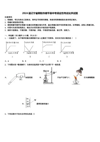 2024届辽宁省朝阳市建平县中考适应性考试化学试题含解析.doc