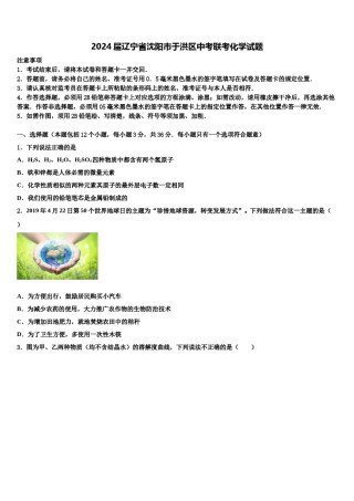 2024届辽宁省沈阳市于洪区中考联考化学试题含解析.doc
