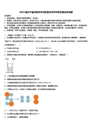 2024届辽宁省沈阳市沈河区重点中学中考五模化学试题含解析.doc