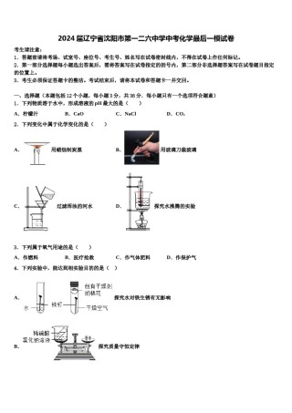 2024届辽宁省沈阳市第一二六中学中考化学最后一模试卷含解析.doc