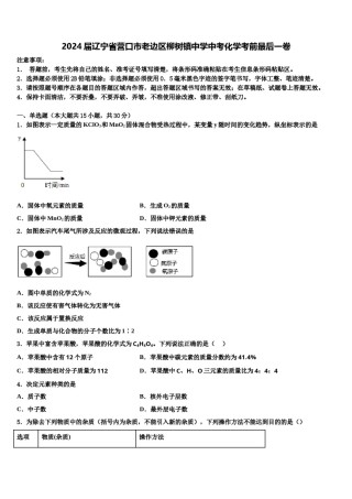 2024届辽宁省营口市老边区柳树镇中学中考化学考前最后一卷含解析.doc