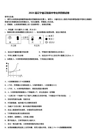 2024届辽宁省辽阳县中考化学四模试卷含解析.doc