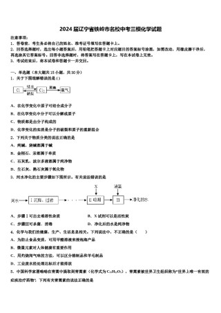2024届辽宁省铁岭市名校中考三模化学试题含解析.doc