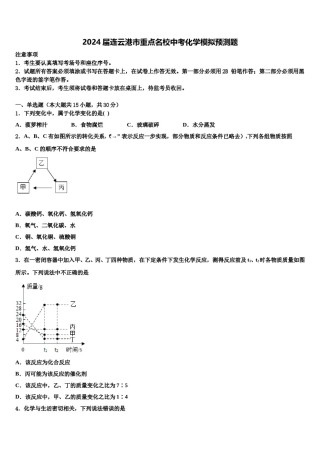 2024届连云港市重点名校中考化学模拟预测题含解析.doc
