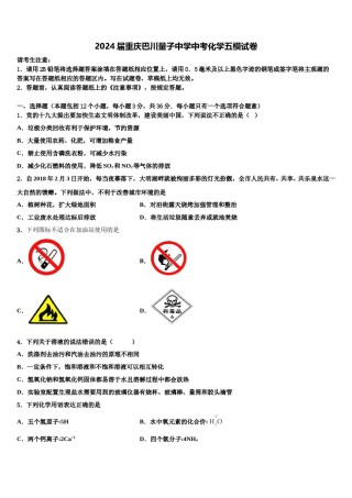 2024届重庆巴川量子中学中考化学五模试卷含解析.doc