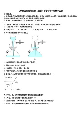 2024届重庆市南开（融侨）中学中考一模化学试题含解析.doc