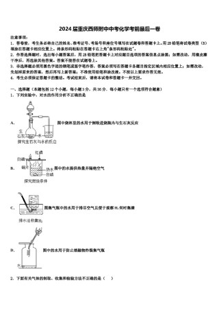 2024届重庆西师附中中考化学考前最后一卷含解析.doc
