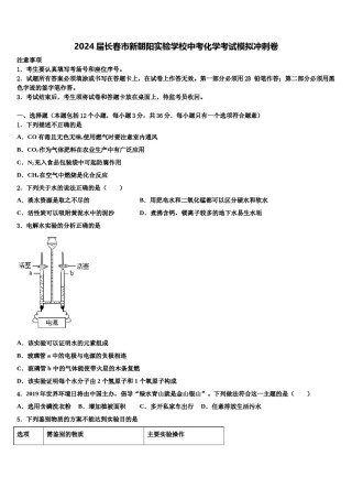 2024届长春市新朝阳实验学校中考化学考试模拟冲刺卷含解析.doc