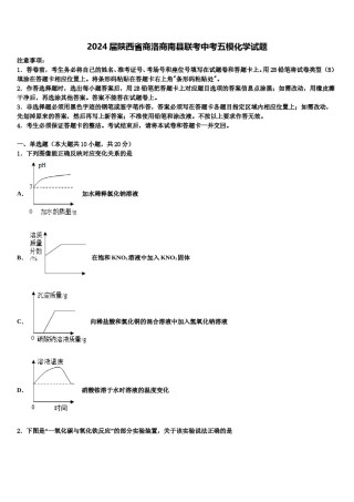2024届陕西省商洛商南县联考中考五模化学试题含解析.doc