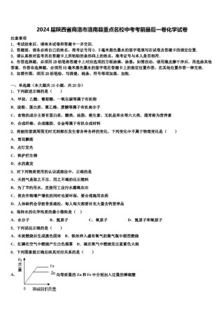 2024届陕西省商洛市洛南县重点名校中考考前最后一卷化学试卷含解析.doc