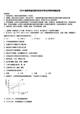 2024届陕西省安康市名校中考化学模拟精编试卷含解析.doc