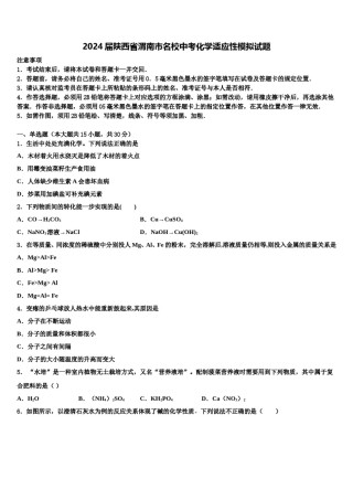 2024届陕西省渭南市名校中考化学适应性模拟试题含解析.doc