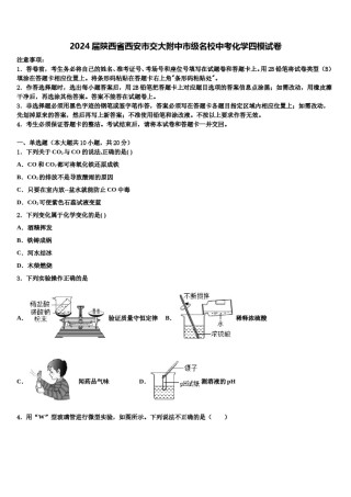 2024届陕西省西安市交大附中市级名校中考化学四模试卷含解析.doc