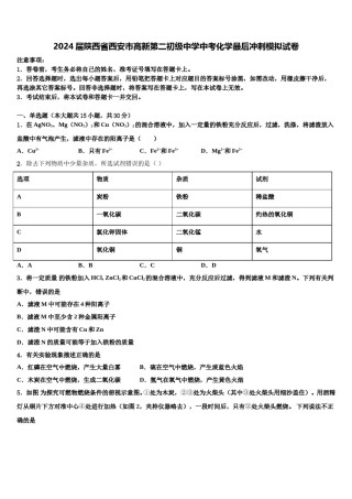 2024届陕西省西安市高新第二初级中学中考化学最后冲刺模拟试卷含解析.doc