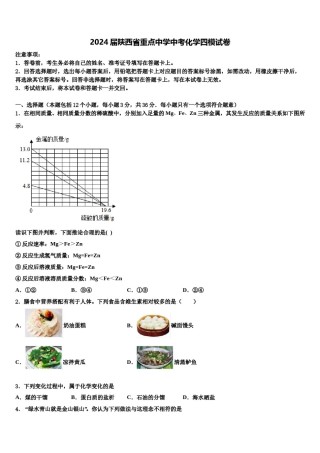 2024届陕西省重点中学中考化学四模试卷含解析.doc