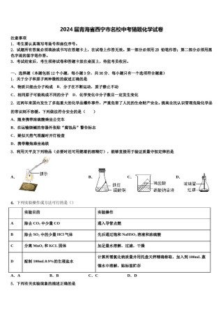 2024届青海省西宁市名校中考猜题化学试卷含解析.doc